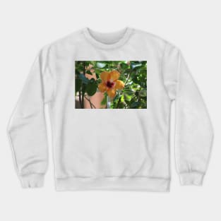 Salmon Hibiscus Crewneck Sweatshirt